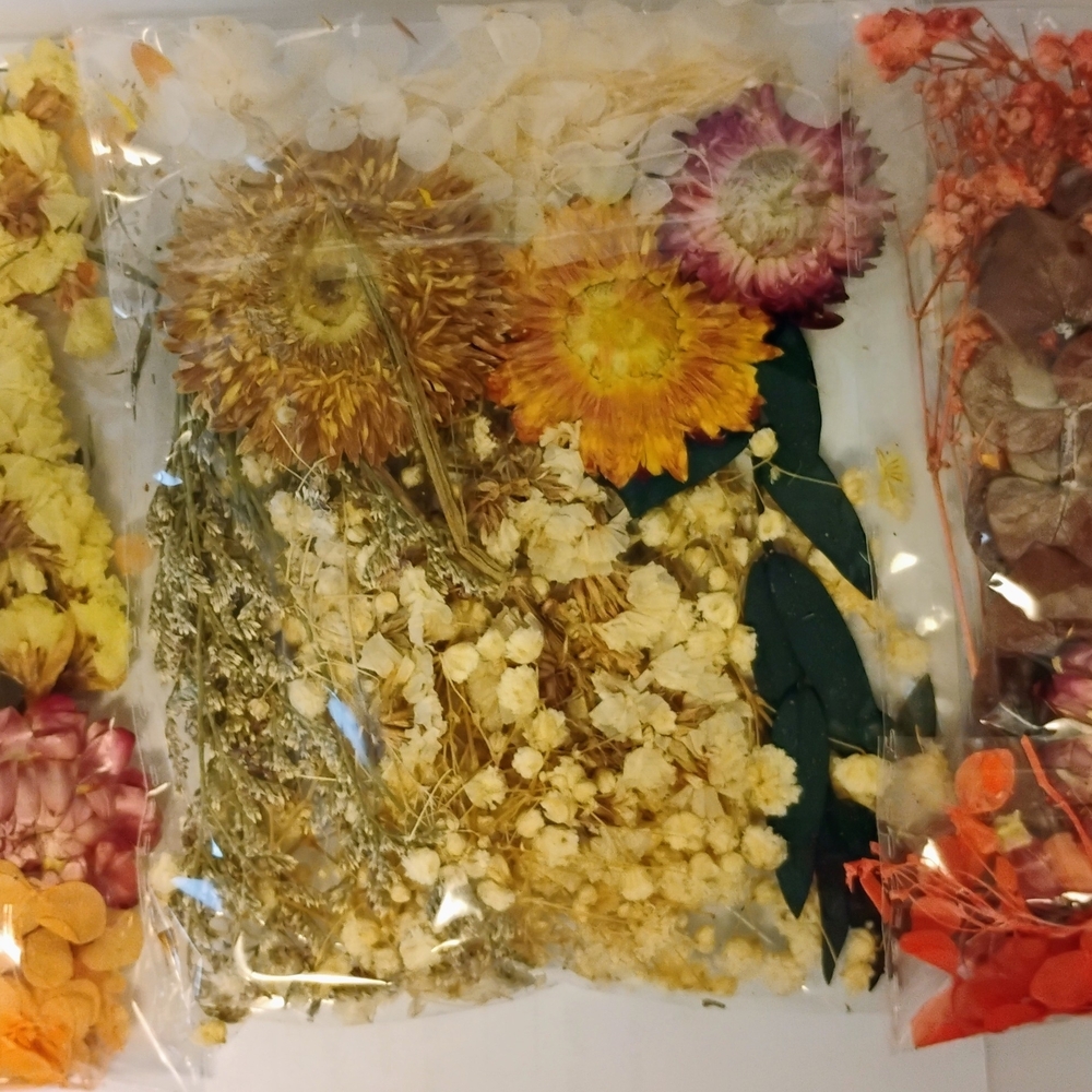 Pressed Dried Flowers Dry Resin Crafts Red Orange Yellow Scrapbooking Wedding